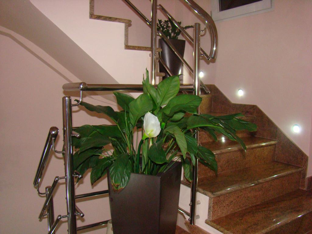 Apartments Ledic Крвавица Екстериор снимка